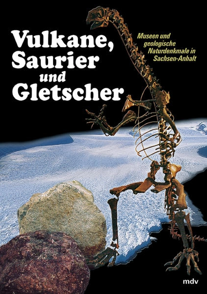 Buch Vulkane, Saurier und Gletscher in Bibliothek